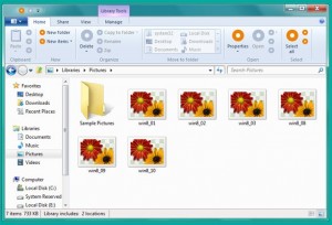 Windows-Explorer-8-Interfaccia-Ribbon
