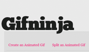 gif animate gifninja 300x175 GifNinja: conversione da video a Gif animate   utile per GooglePlus