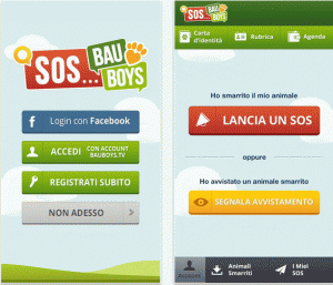 sos bau boys